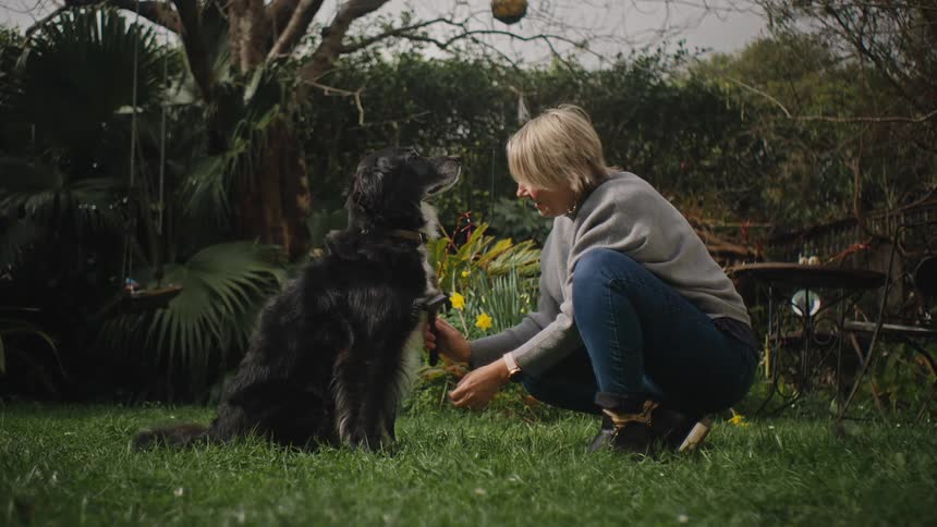 Woman combing a dogs fur in a garden