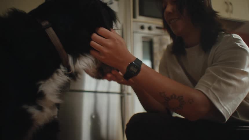 Person petting a dog