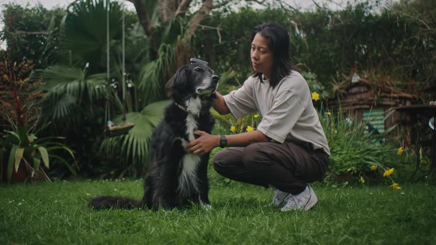 A woman in a gray shirt and brown pants brushes her black and white dog on the green grass