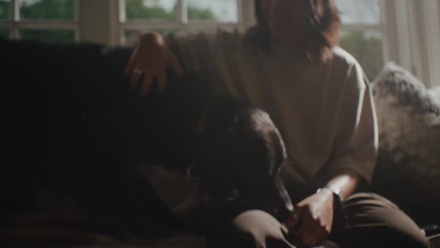Woman sitting down calling her dog who jumps on the couch and lies down next to her