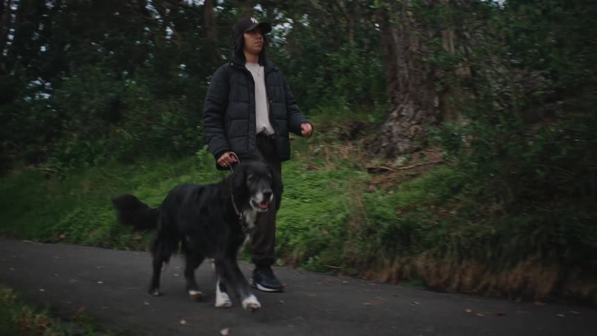 Person walking and strolling with a dog
