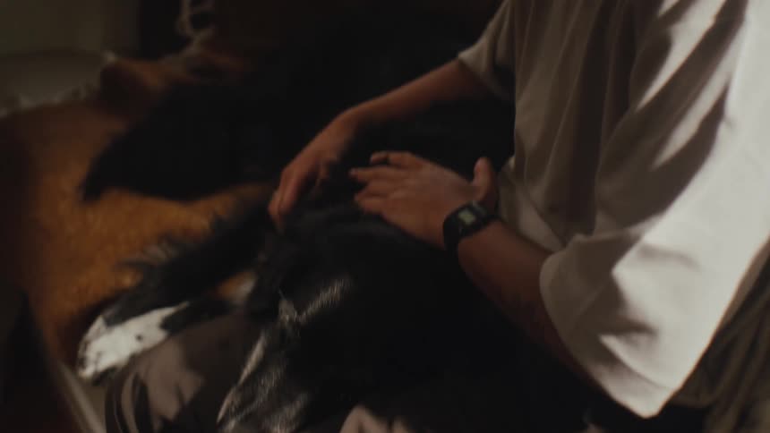 A woman sits on a couch at home petting a dog near a window