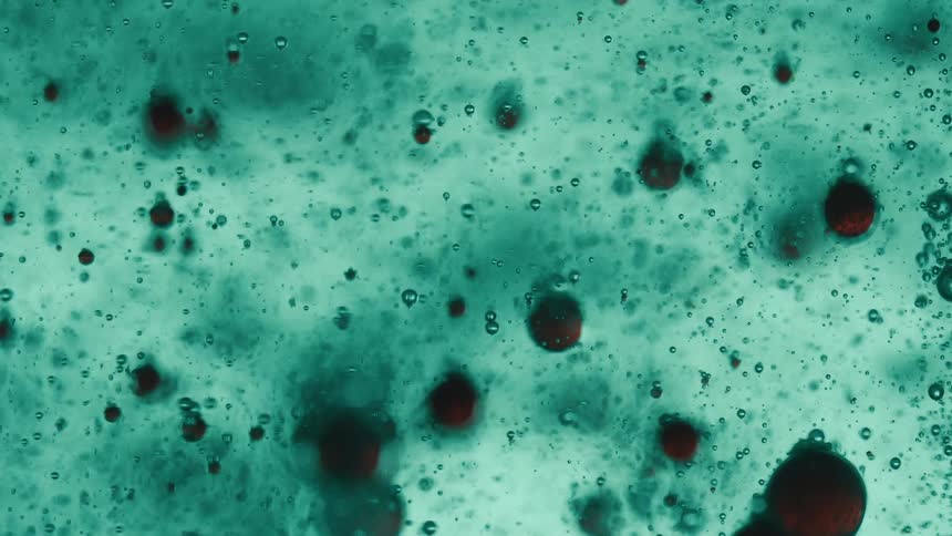A teal liquid dotted with dark brown bubbles