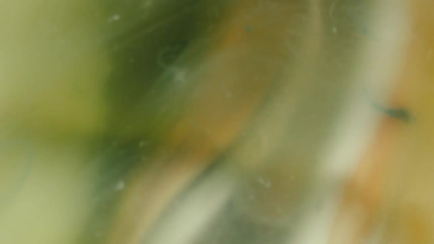 Abstract liquid in motion