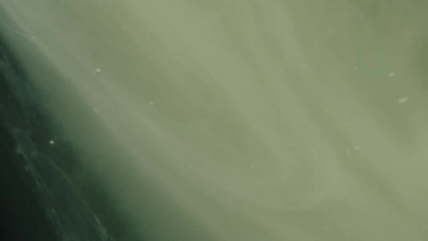 Thick whitish liquid oozing out