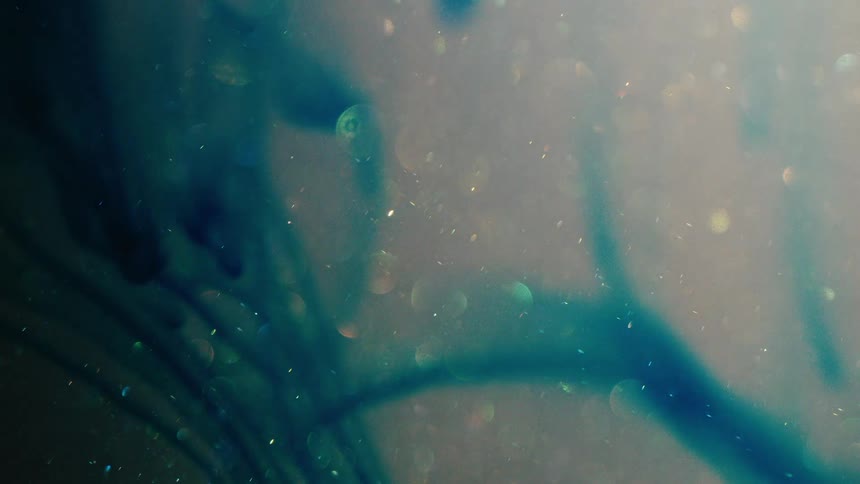 A blue liquid swirls with specks of glittering particles floating over