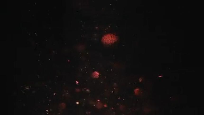 Dark liquid is sprinkled with small red sparkly dots