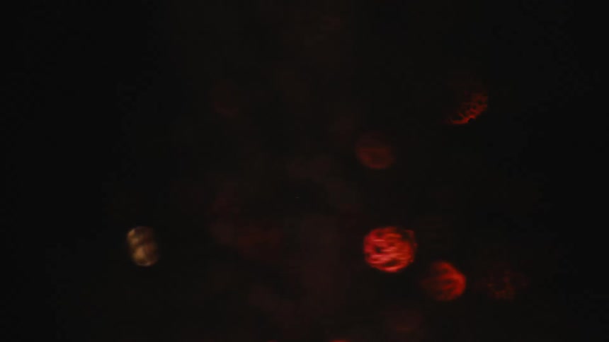 Red outoffocus orbs float in a dark space
