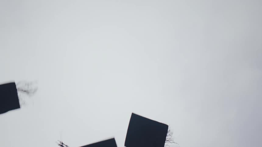 A group of people in graduation gowns and caps celebrate by throwing their caps in the air