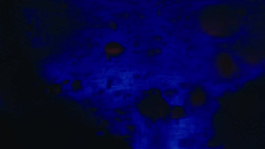 Red blobs and translucent bubbles float through a mixture that changes color
