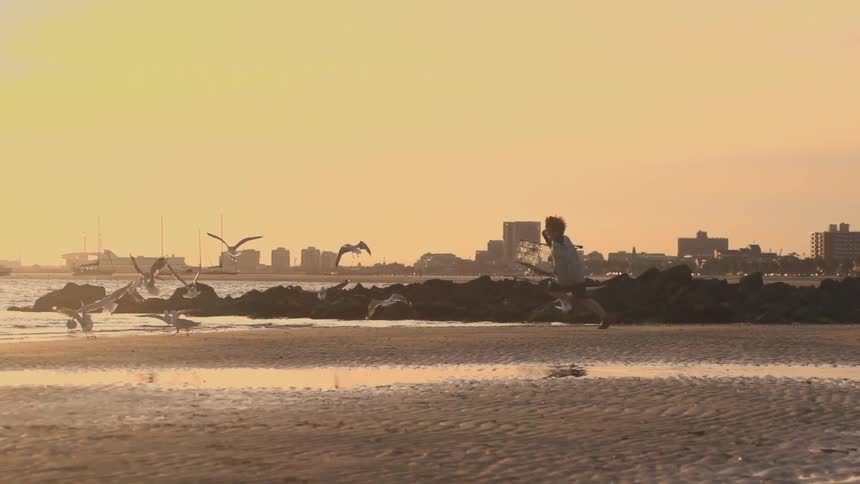 A kid chases birds on the beach