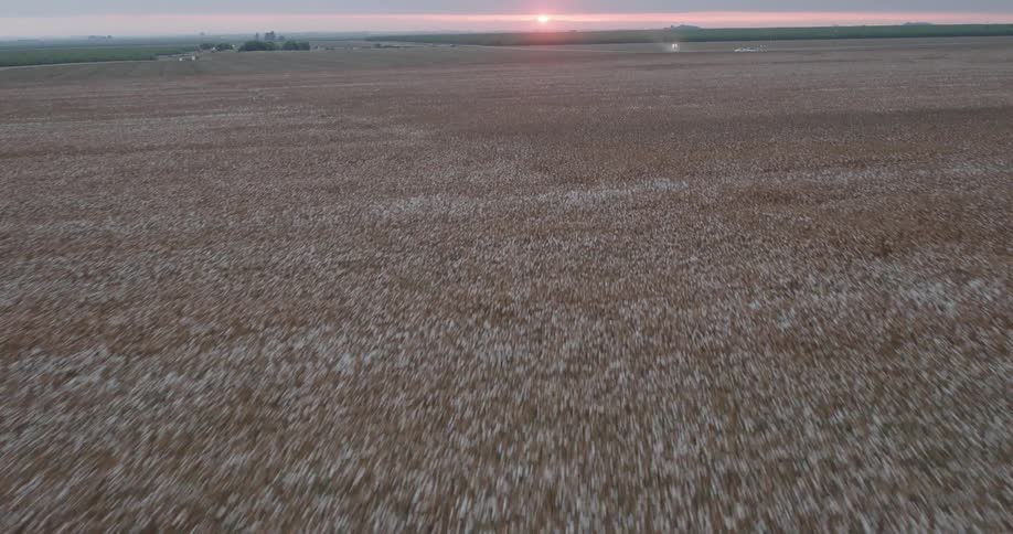 An aerial clip of a grass field