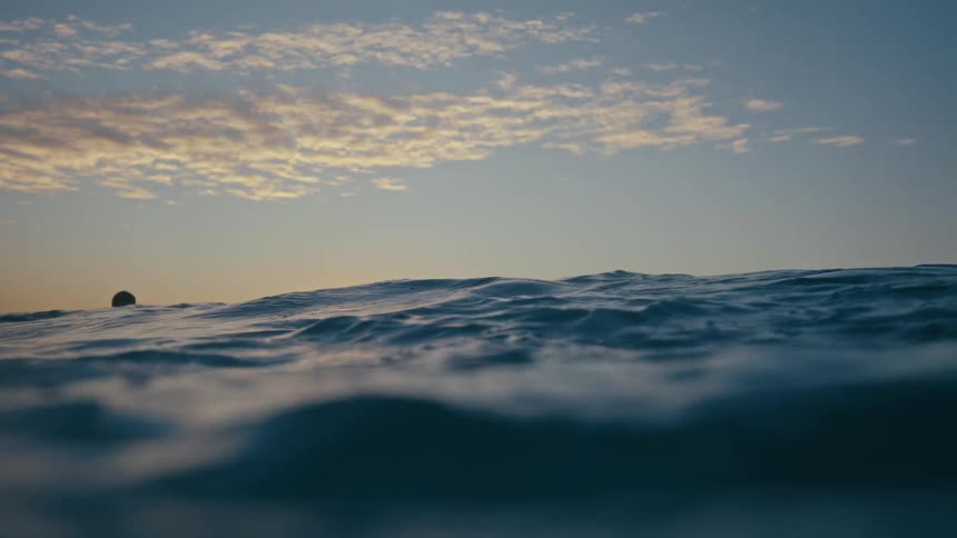 A group of surfers floating in the ocean during sunset