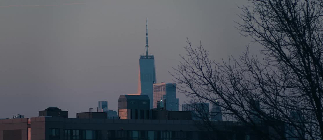 Landscape of a metropolis on a cloudy day with a leafless tree in the foreground