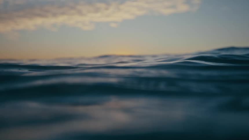 Group of people surfing in the ocean in the morning