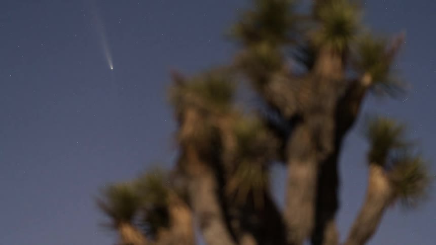 Rocket flying in the sky and trees in the foreground
