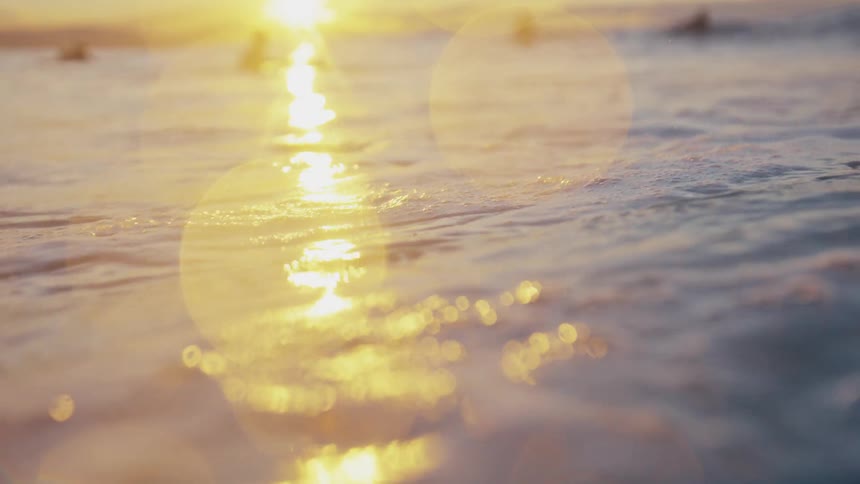 Surfers float in the ocean at sunset with golden sunlight and gentle waves