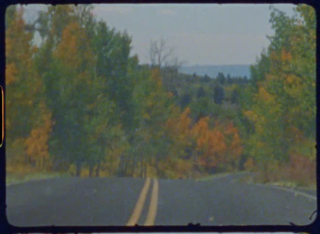 Moving view of a road with trees around