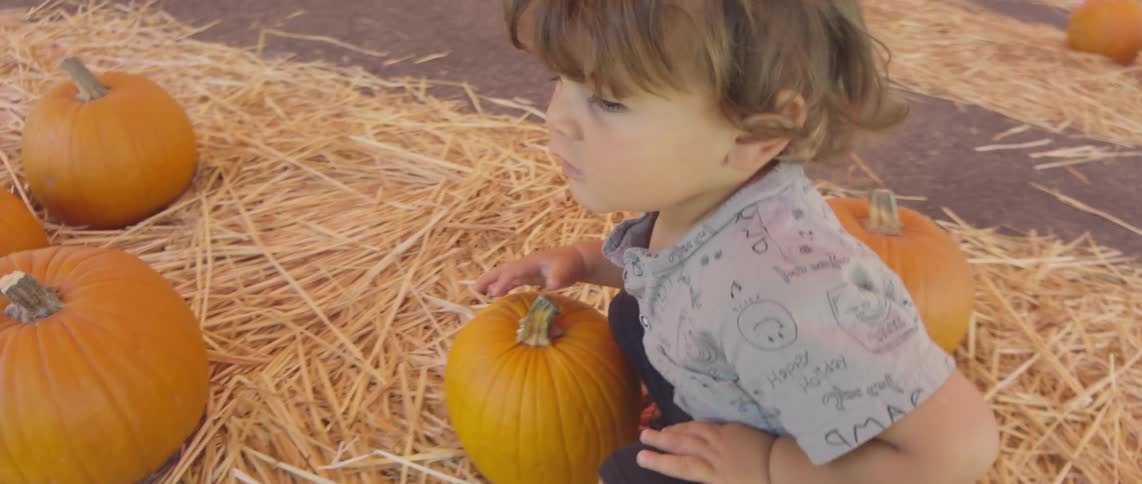 A child is touching a pumpkin on the farm