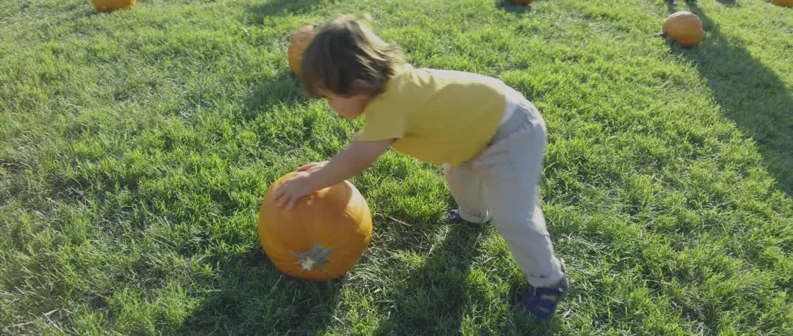 A child is rolling a pumpkin on the farm
