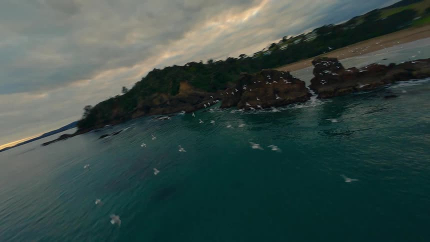 Birds fly over the blue waters on the shore followed by an FPV drone