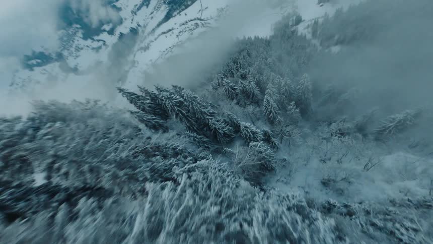 Aerial View of Snow-Covered Conifer Forest in Mountain Landscape at Sunset