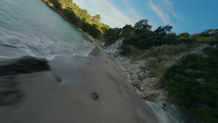 Forest densely covers coastal terrain including a promontory on a cloudy day