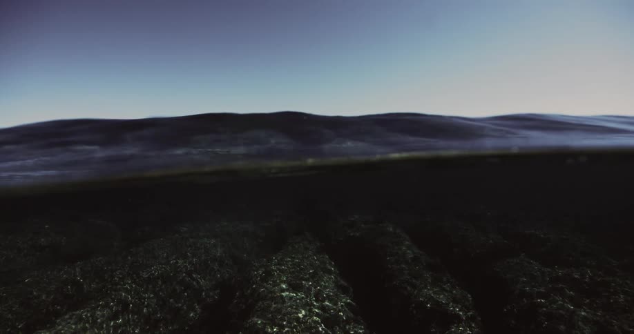 Underwater view of the sea during the day