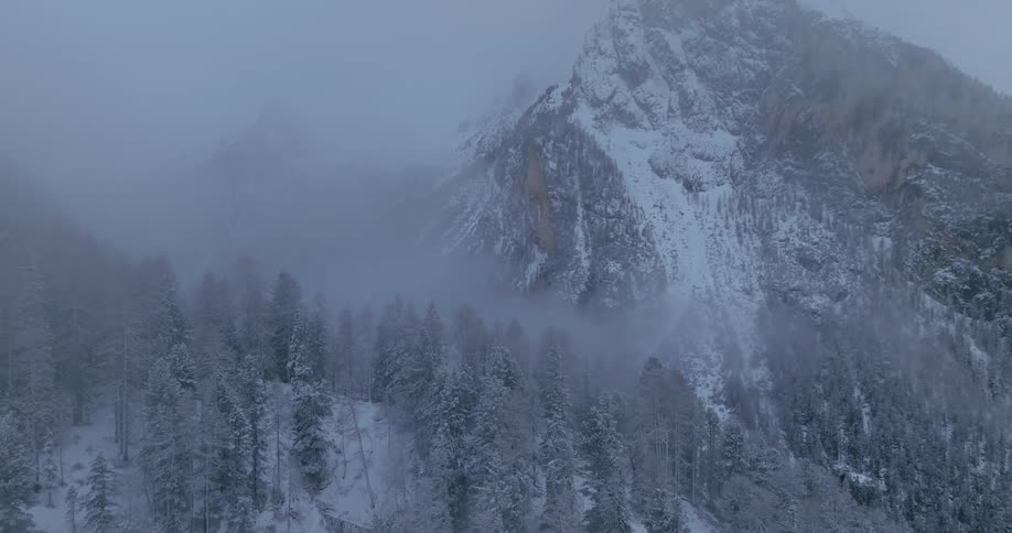 Snowcovered mountain landscape with dense forest