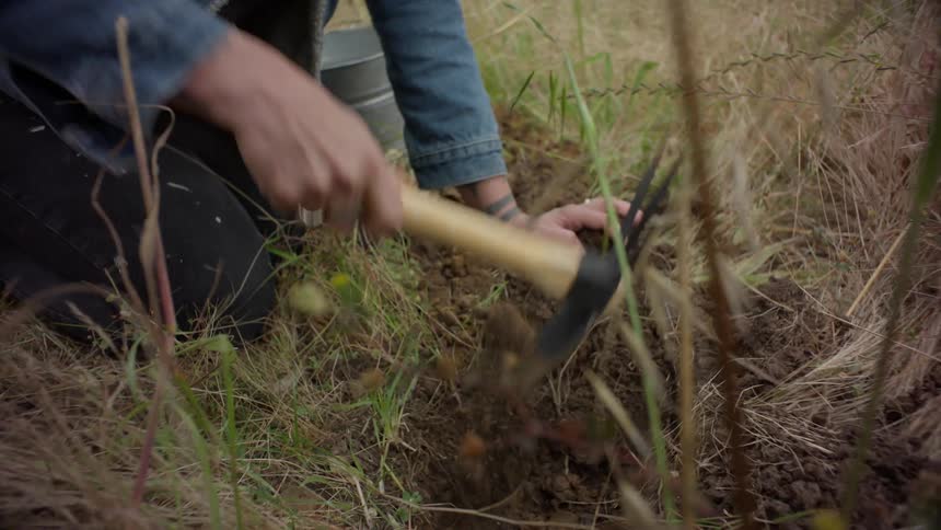 A woman digging a hole on a field using a small pickaxe