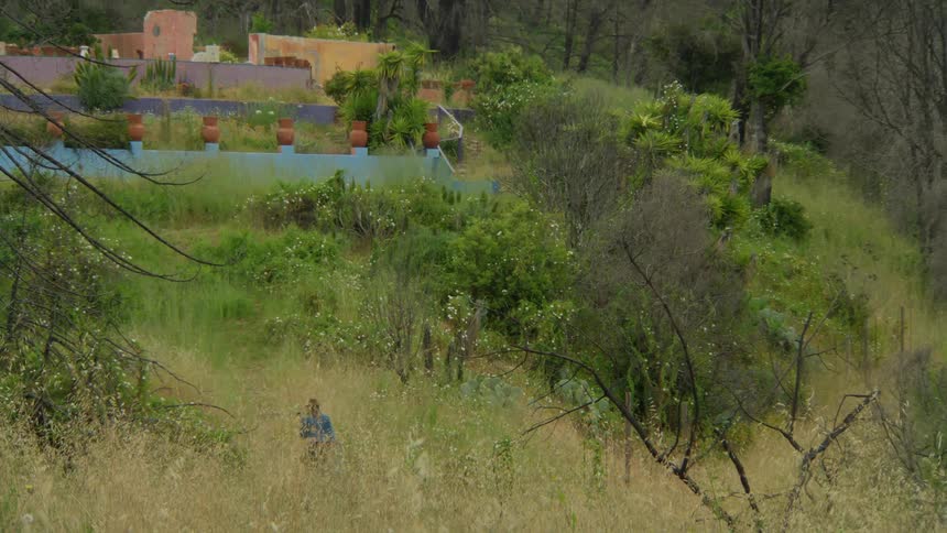 Woman walks through the grass towards a house on a hill near the leafless trees of the local woods