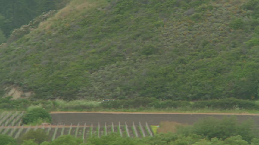 A white car drives through a vineyard on a rolling hillside