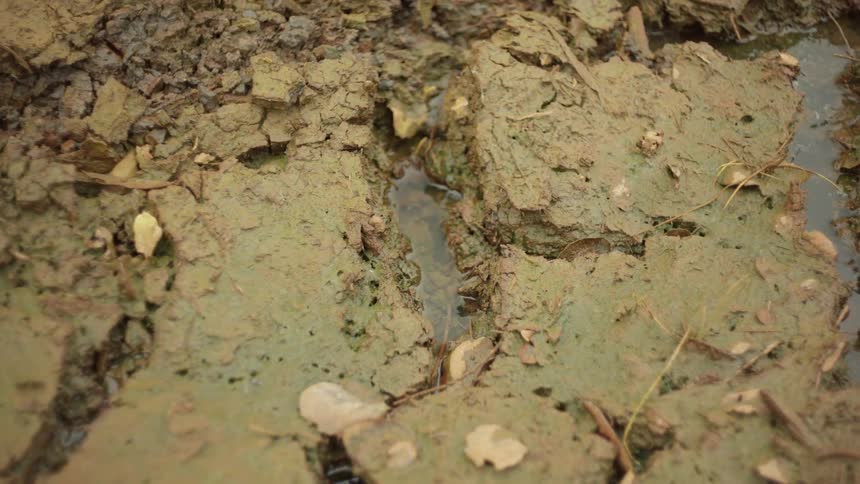 Water covers the mud