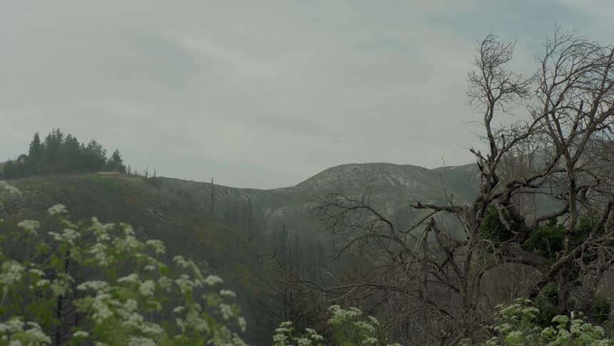 A scenic panaroma