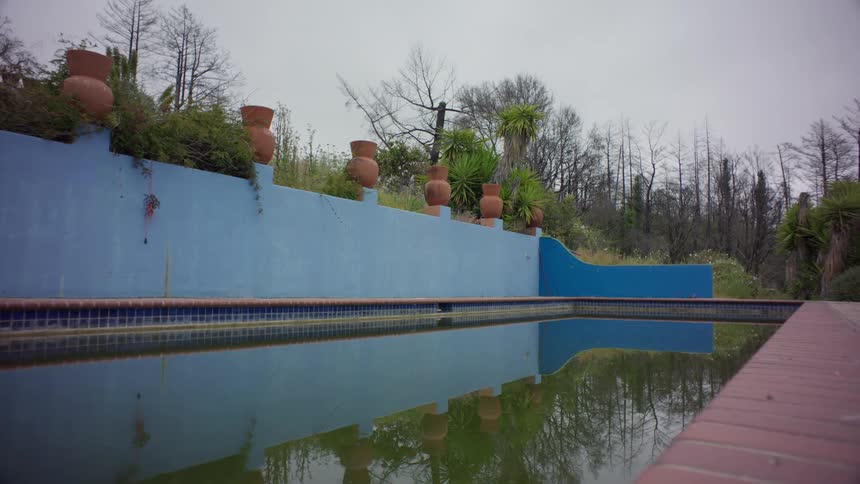 Outdoor swimming pool with a blue wall in the background decorated with terracotta pots and plants