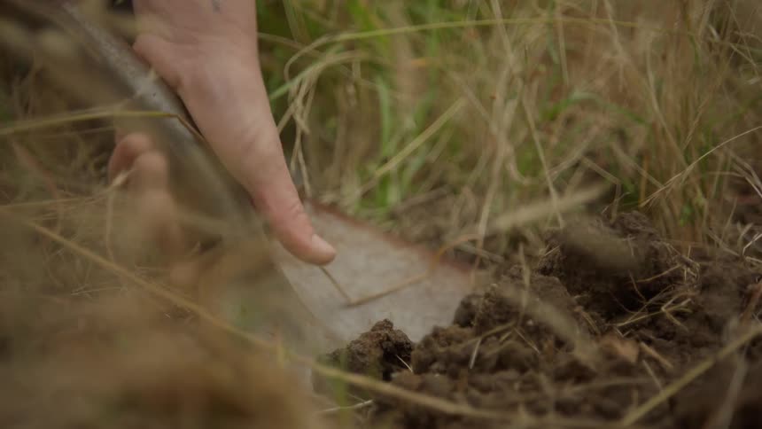 A hand holds a shovel and digs into the dirt