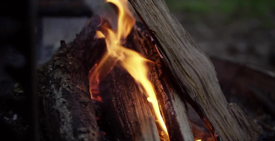 Close up of a fire burning on some logs