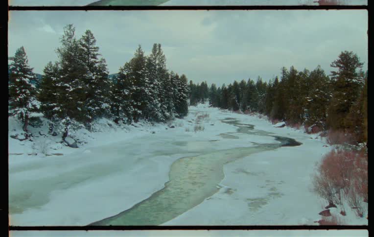 Snowy landscape surrounded by conifers and a stream