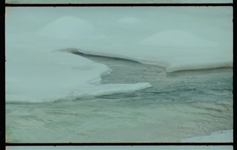 River between flowing glaciers