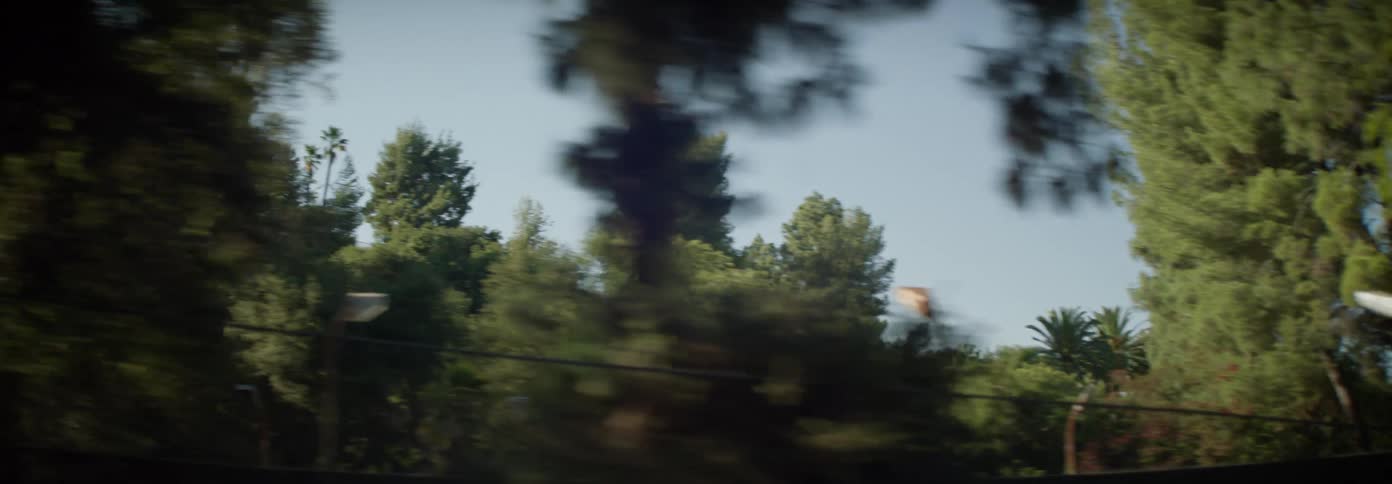 The homes are surrounded by trees