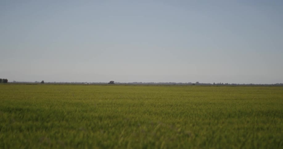 Landscape of a vast field against a blue sky