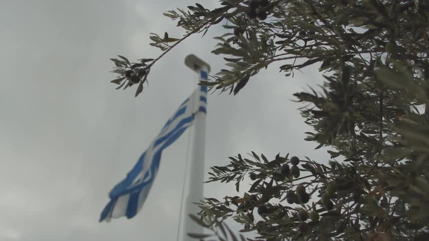 Blue and white flag flowing in the wind