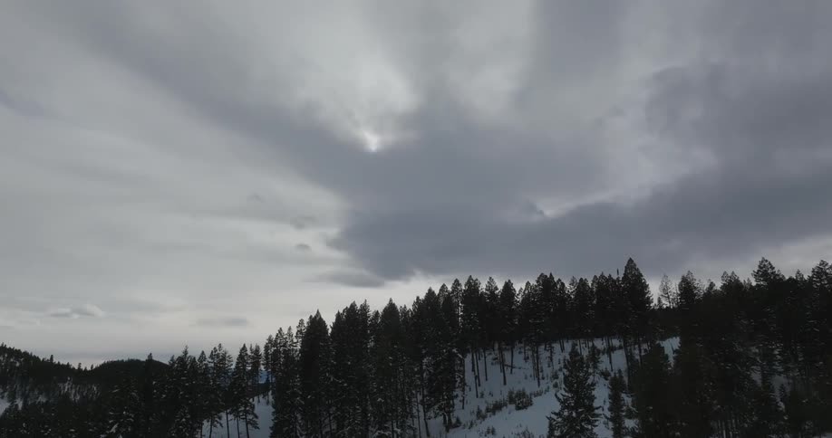 Aerial panorama of a snowy mountain with conifers