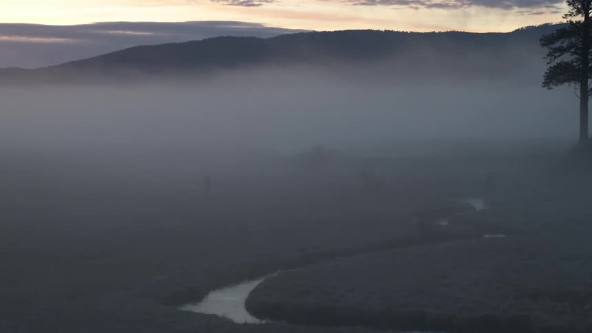 Fog in an agricultural field by a river and mountains in the background