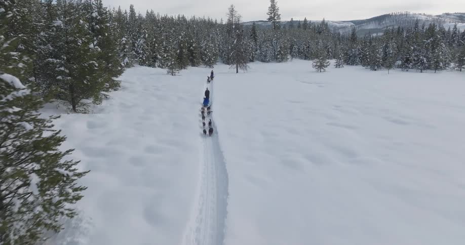 Aerial view of dogs guiding three sleds through a snowy area