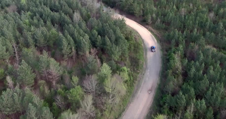 Vehicle driving down a tree lined road