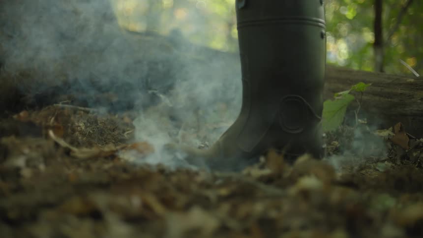 Boot stepping on a fallen fire in a forest