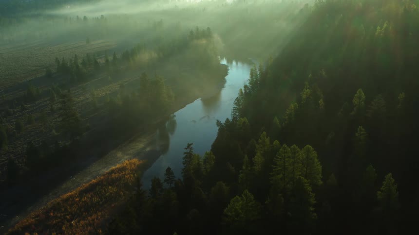 A winding river snakes through a misty forest bathed in the soft light of dawn