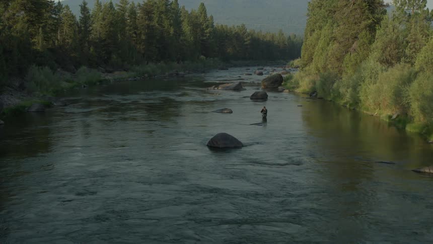 A large river runs between forests