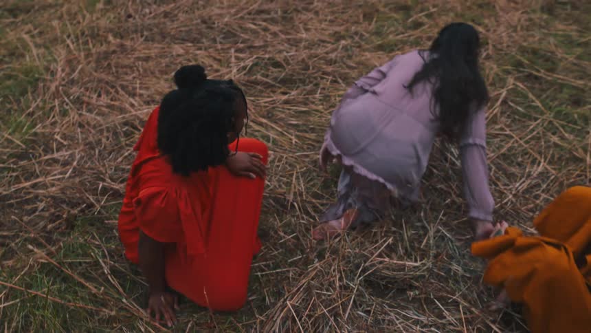 Women dancing together in a performance in a field
